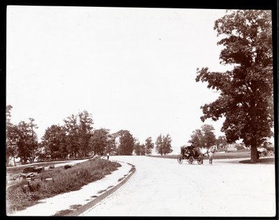View of a Horsedrawn Carriage on Riverside Drive, New York by Byron Company